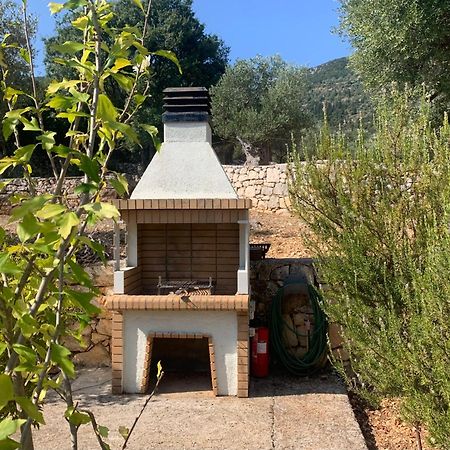 Pandora Villa Βαθύ Εξωτερικό φωτογραφία